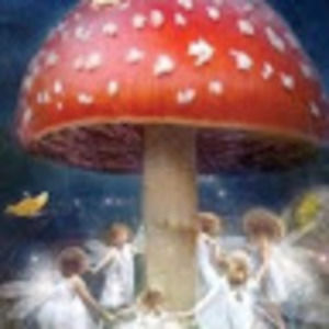 Meet your Posher, Joselyn